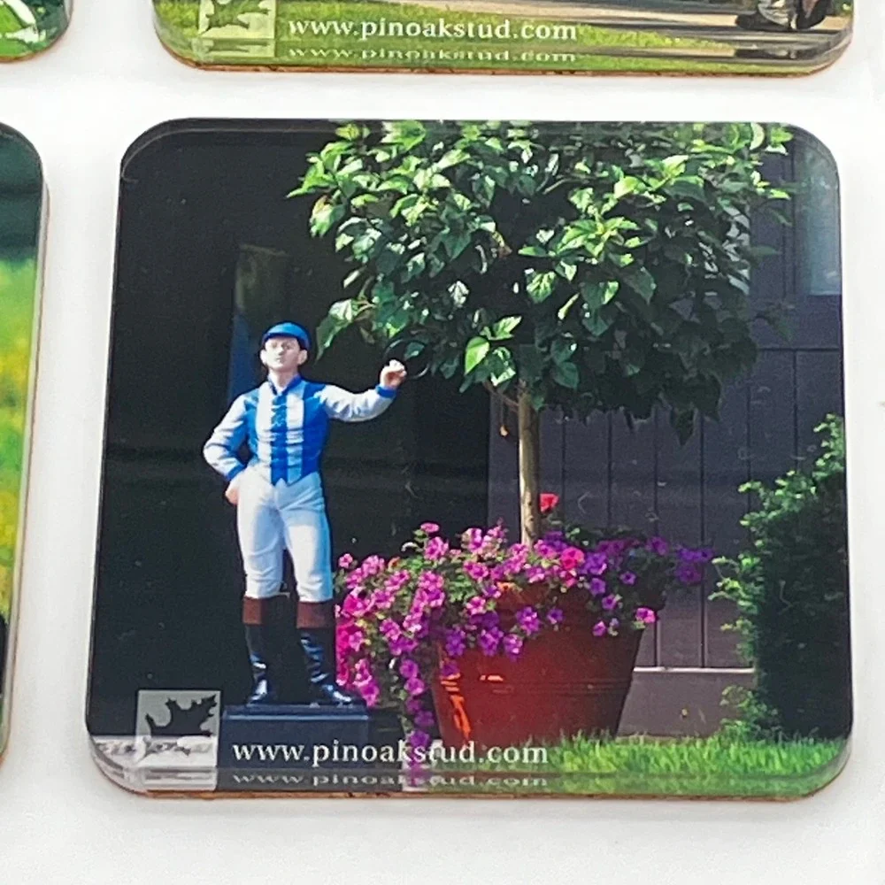 Pin Oak Stud Coaster Set of 4 Multicolor Horse Equestrian Photography Acrylic